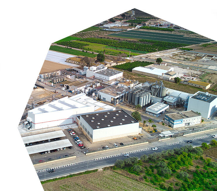 htba plant from arial view