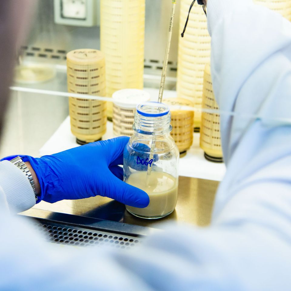 image_02 Lab