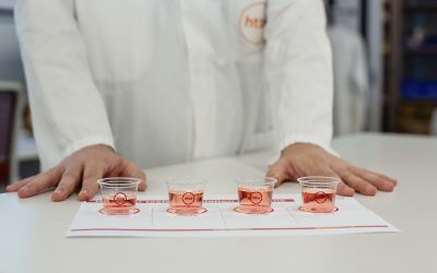 SupplySide West 2024: HTBA adds zest to active performance, heart and brain health with nature-derived innovations