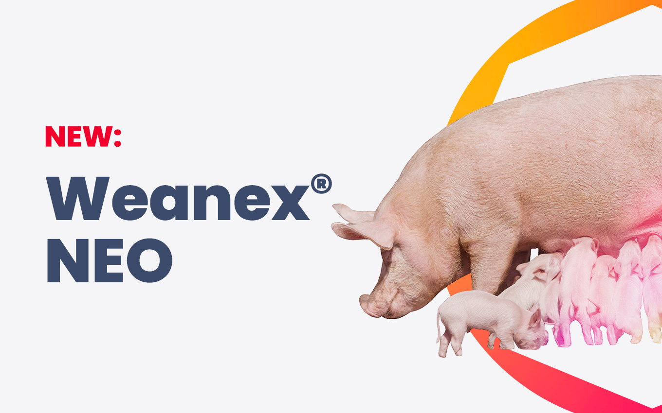 HTBA’s Weanex Neo® solution designed to support healthy and sustainable livestock weaning.