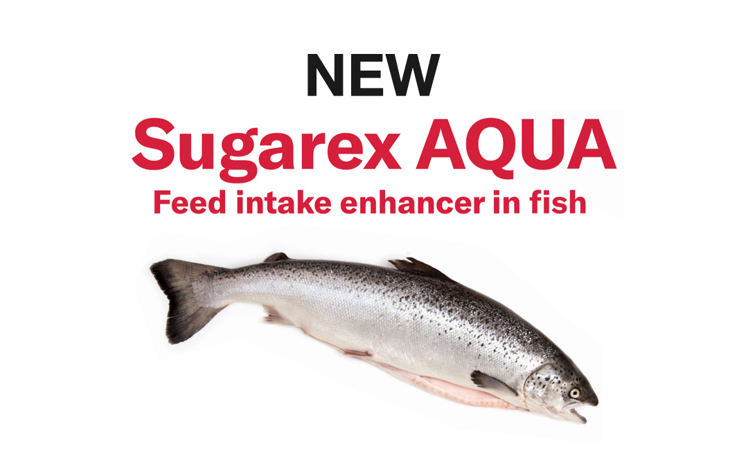 Sugarex® AQUA launch at the 2025 European Aquaculture Society (EAS) Congress