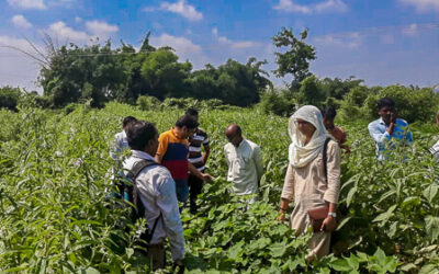 HTBA offsets carbon footprint with social and environmental projects in China and India