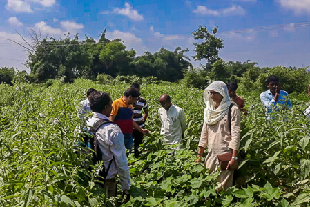 HTBA offsets carbon footprint with social and environmental projects in China and India